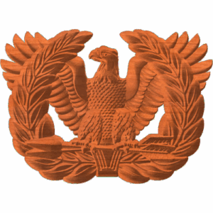 WARRANT OFFICIER