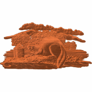 CANADIAN BEAVER