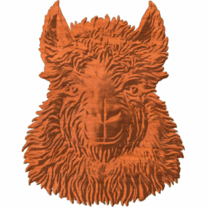 ALPACA HEAD