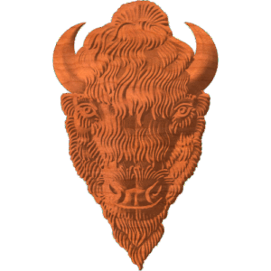 BISON HEAD (STYLIZED)