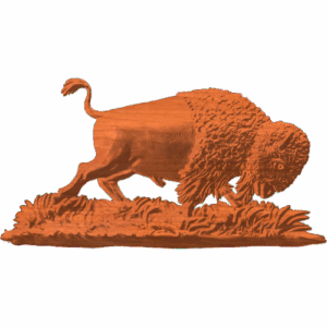 BUFFALO 03