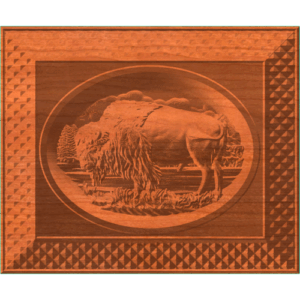 FRAMED BISON