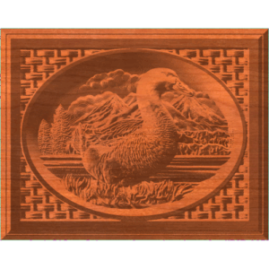 FRAMED DUCK