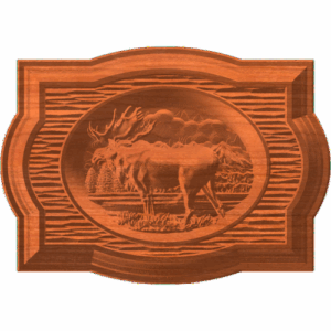 FRAMED MOOSE 02