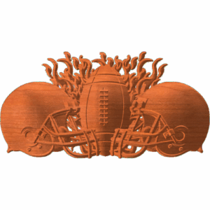 FOOTBALL FEVER