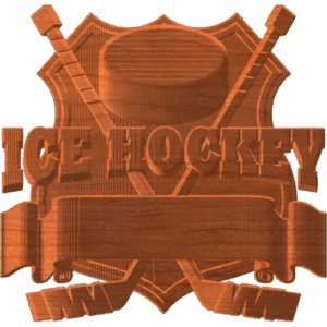 TEAM HOCKEY