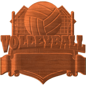 TEAM VOLLEYBALL
