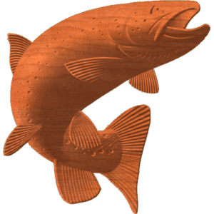 BROWN TROUT
