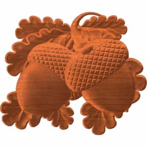 ACORN 4