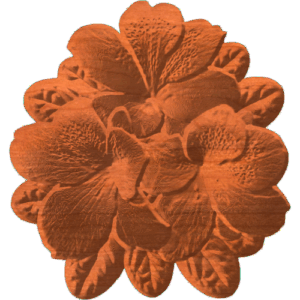 AZALEAS