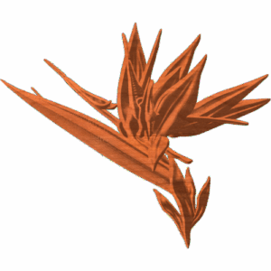 BIRD OF PARADISE