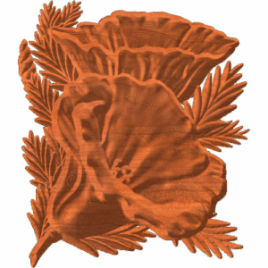 CALIFORNIA POPPY