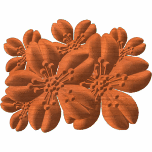 CHERRY-BLOSSOM