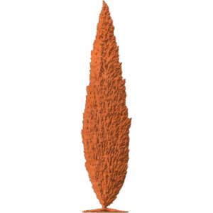 CYPRESS
