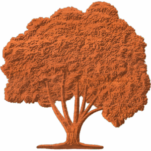 HARDWOOD TREE 2