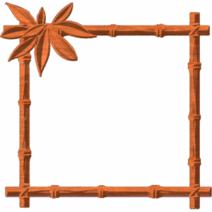 BAMBOO BORBER