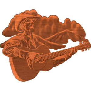 Country singer