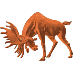 MOOSE 2