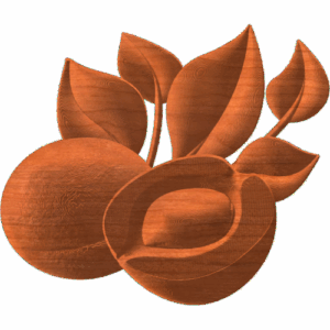 APRICOT
