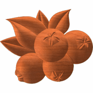 BLUEBERRY