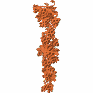 GRAPE CLUSTER 2