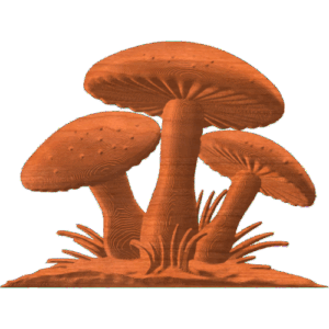 MUSHROOM 2