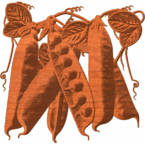 PEAS