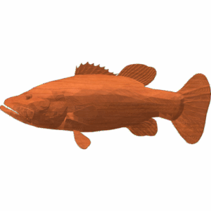bass profile