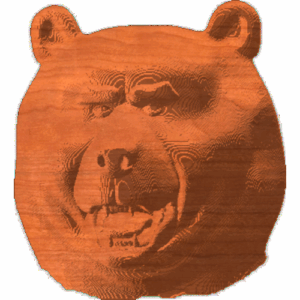 Bear face