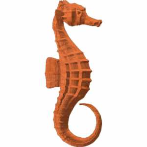 Seahorse