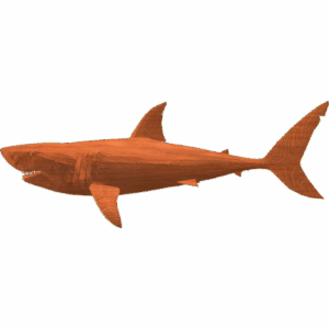 Shark