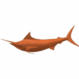 Swordfish