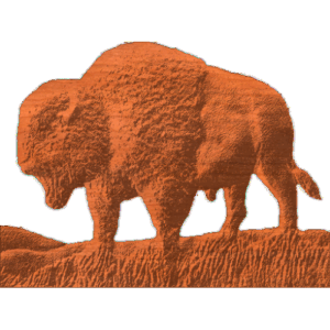 Buffalo Silhouette