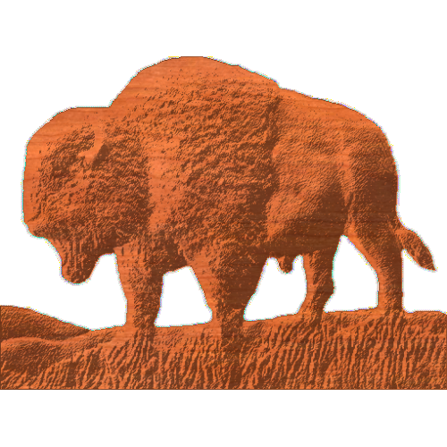 Buffalo Silhouette