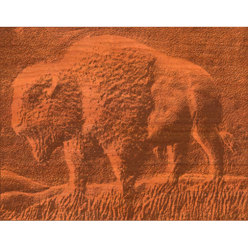 Buffalo Scene