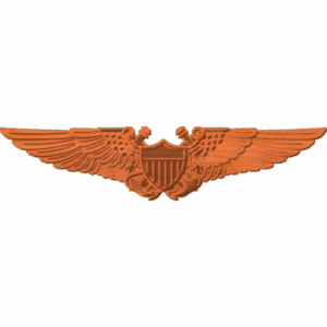Navy Flight Officer Wings PTN