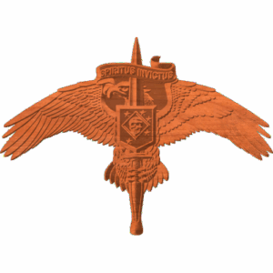 Spiritus Invictus Skull PTN