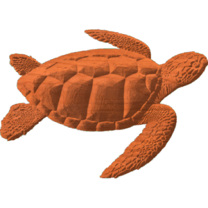 Sea Turtle PTN