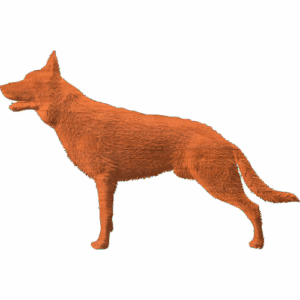 Dog German Shepard
