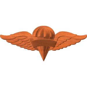 Rigger Wings with No Text