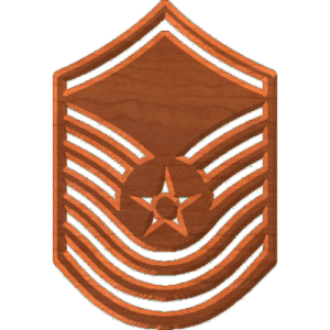 Air Force Insignia