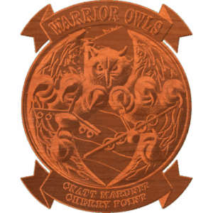 CNATT Owls