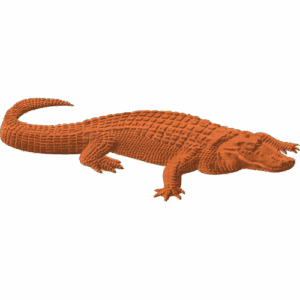 An Alligator