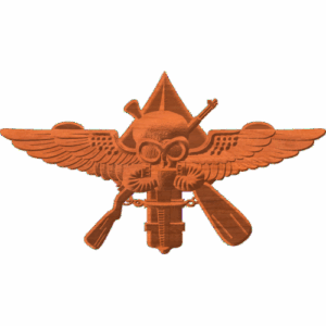 MARSOC Skull Pattern