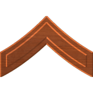 Private First Class E2 Rank