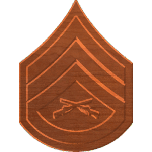 Staff Sergeant E6 Rank