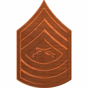 Master Sergeant E8 Rank