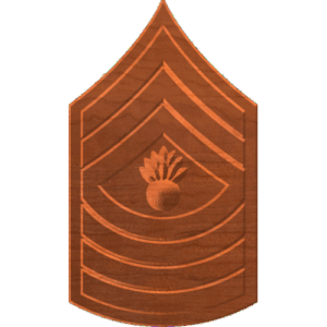 Master Gunnery Sergeant E9 Rank