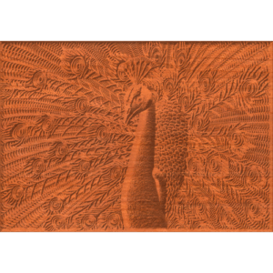 Peacock Pattern