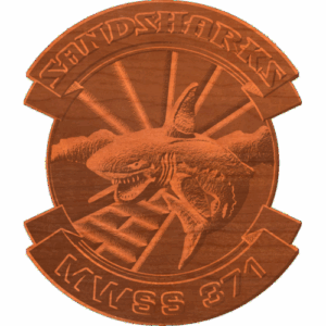 MWSS 371 Sandsharks